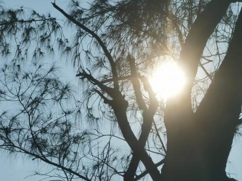 Aviso Especial en Veracruz: Ola de calor superará los 40 grados Celsius