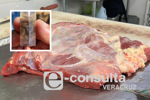 Consumidores de carne en alerta por gusano barrenador en Minatitlán