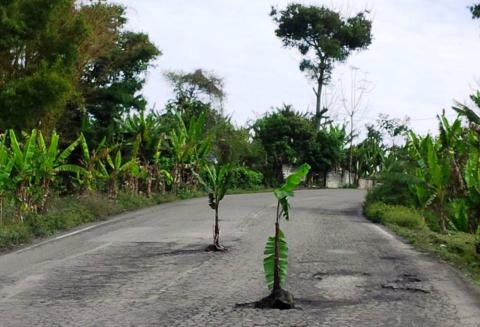 Foto: AVCNoticias Foto: AVCNoticias