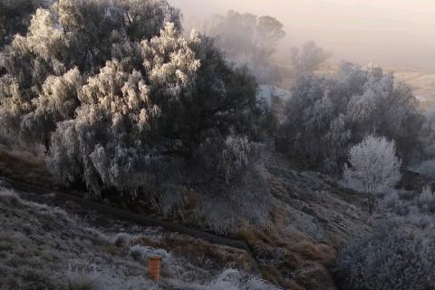 Heló en 5 municipios de Veracruz; esperan surada y nuevo frente frío image 1