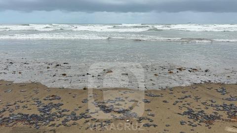 Derrame sigue avanzando y ahora llega a playa de Coatzacoalcos