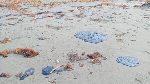 Reaparecen fragmentos de chapopote en playa de Coatzacoalcos