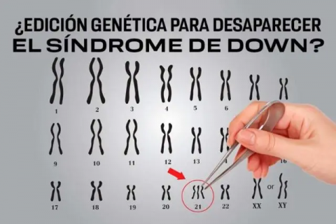 Científicos japoneses inactivan cromosoma del síndrome de Down