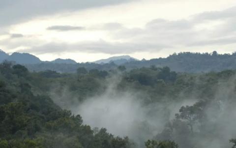 Clima en Veracruz: este miércoles continuará el frío