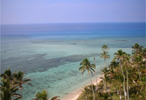 Clima en Veracruz: este sábado continuará el ambiente cálido