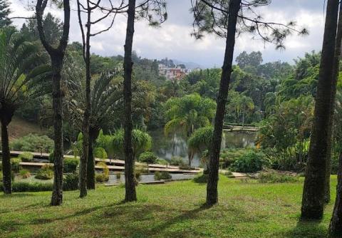 Clima en Veracruz: este jueves se prevé un ambiente cálido 