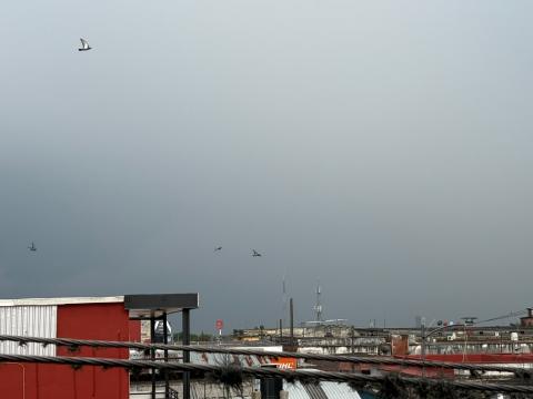 Bochorno y lluvias, el pronóstico para Veracruz