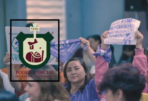 Colectivas-violencia_vicaria-Veracruz