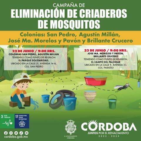 Eliminarán criaderos de mosco en cuatro colonias de Córdoba para prevenir dengue