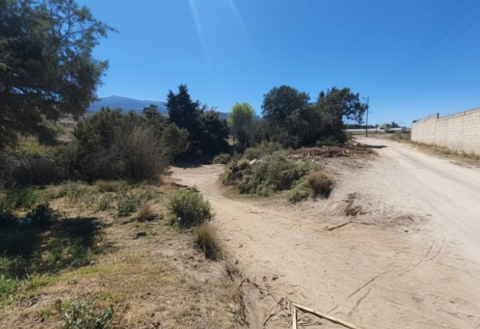 Hallan cuerpo con el rostro desollado en una barranca de Perote