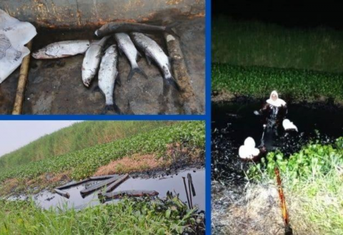 En Cosoleacaque falta apoyo de Pemex por derrame: pescadores