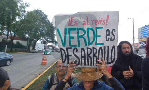 Resistencia pide que se replantee proyecto de puente en Lázaro Cárdenas