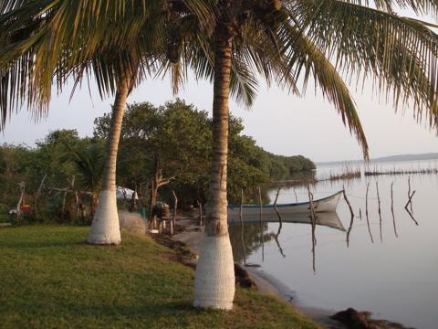 Foto: Especial Foto: Especial