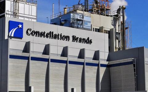 Constellations Brands: Gobierno de AMLO da medios para mudarse a Veracruz