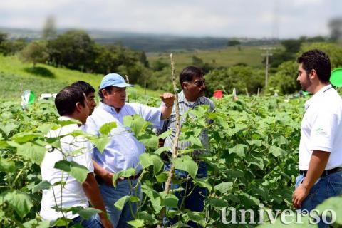Foto: Universo Foto: Universo