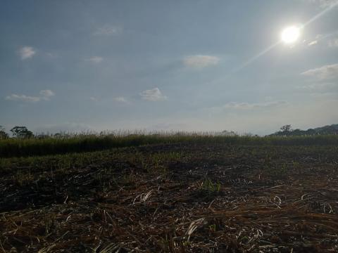 Robos en carretera disparan venta de fertilizantes pirata