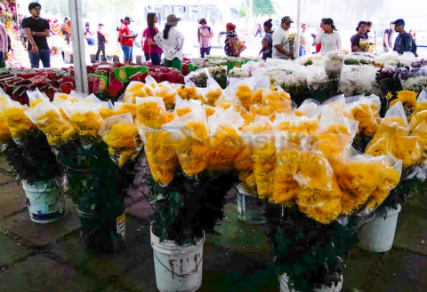 Flores amarillas en Veracruz: ¿por qué se regalan este 21 de septiembre?