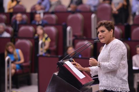 Van contra diputada por nombramiento de "Fiscal carnal"