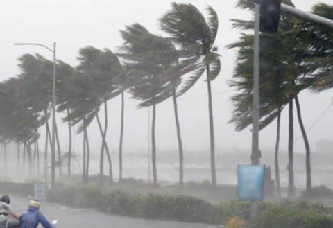 alerta gris, Veracruz, Frente Frío 37, domingo