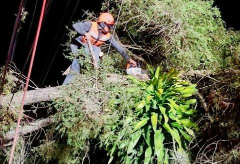 Frente frío 37 deja 33 colonias afectadas en Xalapa