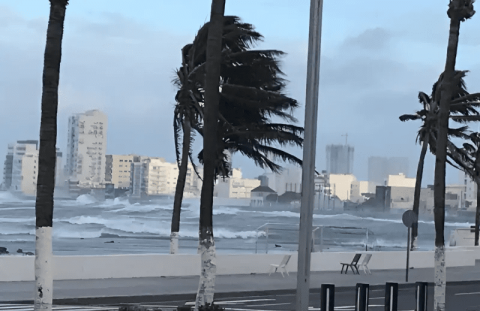 Activan Alerta Gris en Veracruz por ingreso de Frente Frío 11