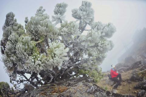 Foto: Sergio Hernández Foto: Sergio Hernández