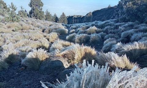 Cencellada pinta de blanco al Cofre de Perote por Frente Frío 13