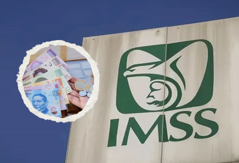 ¿Quién puede heredar una pensión IMSS? Esto sabemos