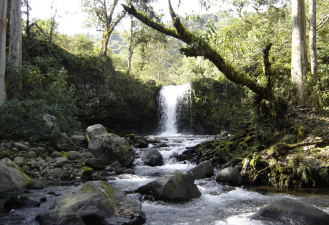 Hidroeléctricas insisten en instalarse en ríos de Veracruz