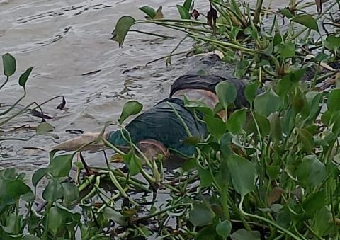 Hallan cuerpo de un hombre flotando en río de Alvarado Hallan cuerpo de un hombre flotando en río de Alvarado