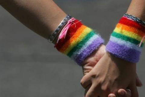 Diputado pide a Duarte promocionar Día de la Lucha contra la Homofobia