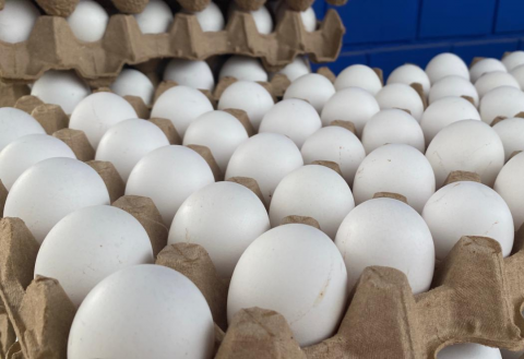 Cono de huevo baja de 90 a 35 pesos en Xalapa; precio causa dudas