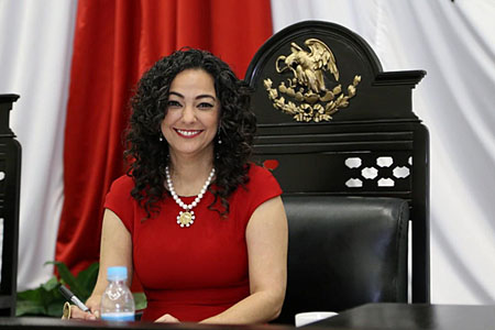 madre-senadora_de_Morena-lavado_de_dinero