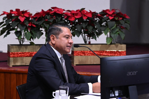 Trabajo, inclusión, STPSP