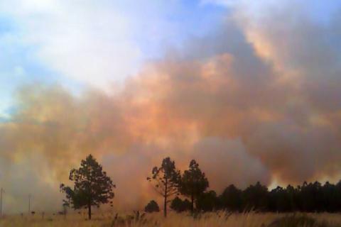 Foto: Carlos Hernández