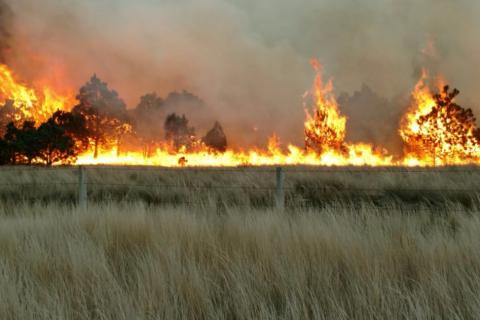 Foto: Carlos Hernández