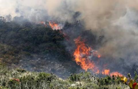 Incendio en Cofre de Perote: autoridades suspenden accesos