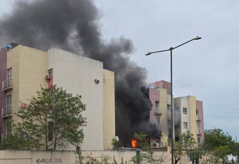incendio, Palma Real, Veracruz incendio, Palma Real, Veracruz