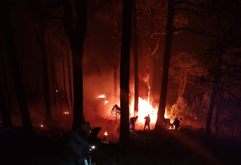 Incendios forestales devastan 510 hectáreas del Cofre de Perote