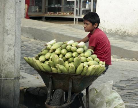 Foto: AVCNoticias Foto: AVCNoticias