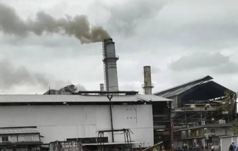 Gobierno federal evalúa rescate del Ingenio San Pedro, en Lerdo