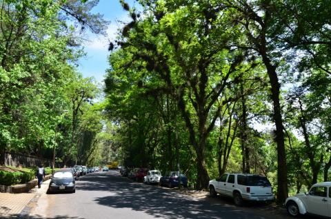 Foto: Especial Foto: Especial