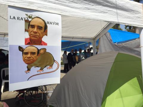 Foto: AVCNoticias Foto: AVCNoticias