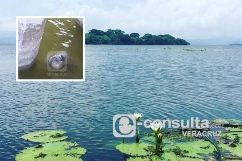 Encuentran hombre flotando en laguna de Catemaco