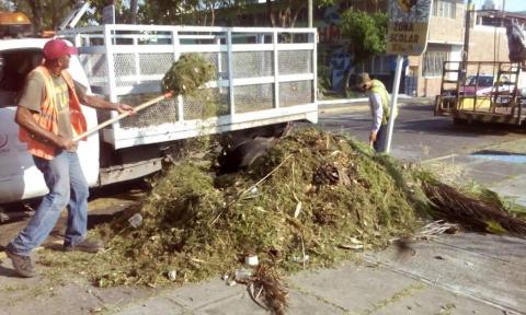 Atienden servicios públicos municipales en colonias y fraccionamientos