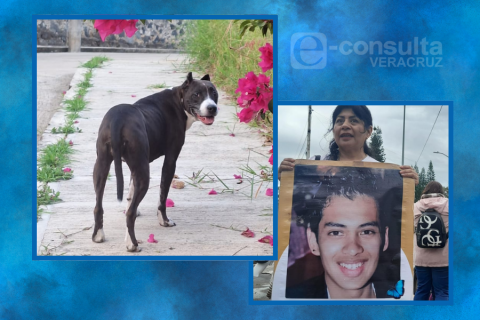 Como una madre, Molly aún espera a Argenis desde hace 11 años