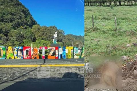 Torturan y asesinan a perrita en Coacoatinztla; policías ignoraron caso