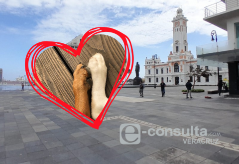 María Teresa y Danilo: historia de amor en el Malecón de Veracruz