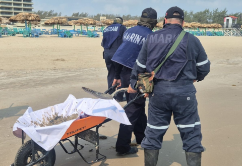 Marina, crudo, playas de Veracruz y Tamaulipas