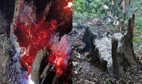 Descartan meteorito y volcán en San Andrés Tuxtla; era un árbol ardiendo